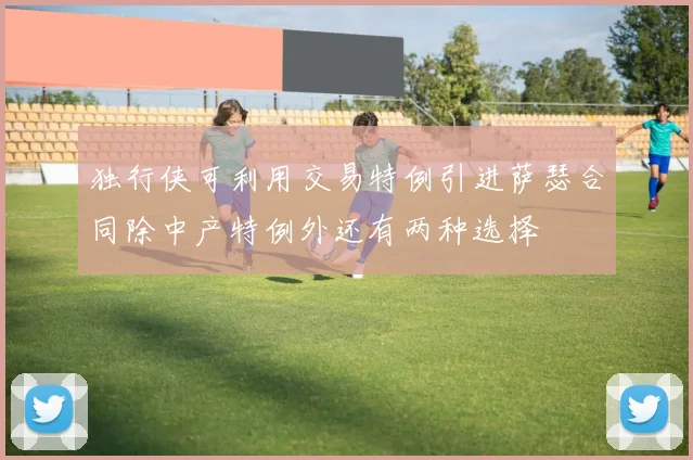 独行侠可利用交易特例引进萨瑟合同除中产特例外还有两种选择